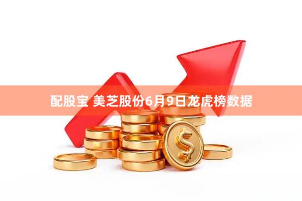 配股宝 美芝股份6月9日龙虎榜数据