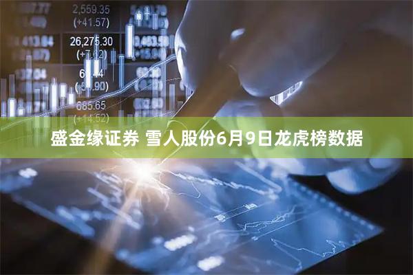 盛金缘证券 雪人股份6月9日龙虎榜数据
