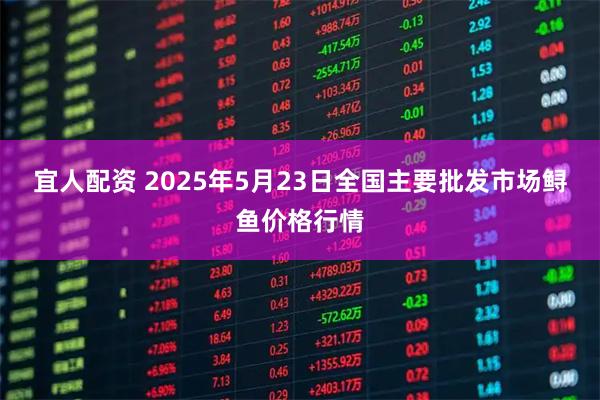 宜人配资 2025年5月23日全国主要批发市场鲟鱼价格行情