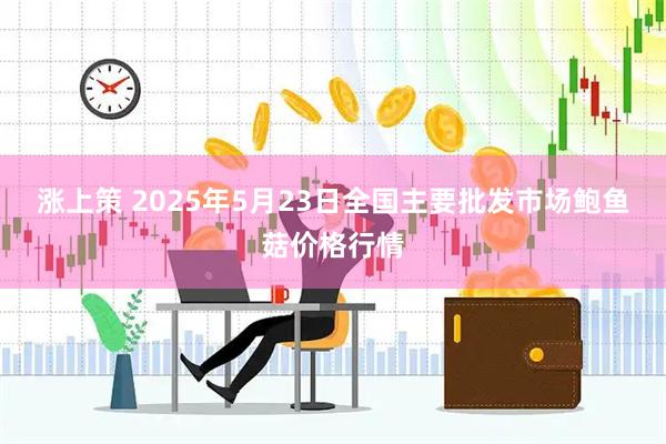 涨上策 2025年5月23日全国主要批发市场鲍鱼菇价格行情