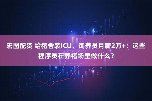 宏图配资 给猪舍装ICU、饲养员月薪2万+：这些程序员在养猪场里做什么？