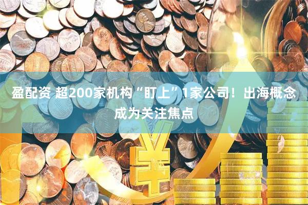 盈配资 超200家机构“盯上”1家公司！出海概念成为关注焦点