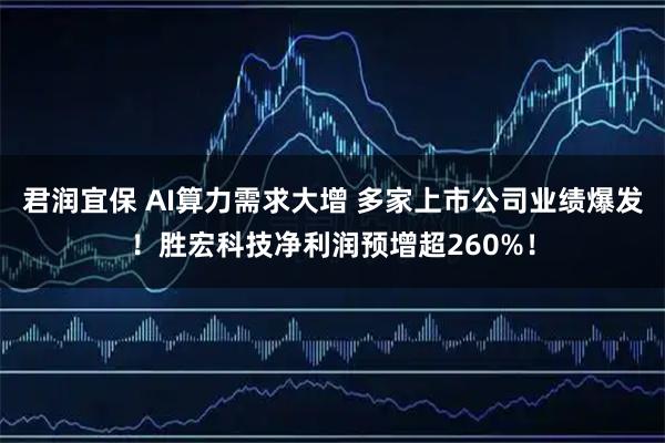 君润宜保 AI算力需求大增 多家上市公司业绩爆发！胜宏科技净利润预增超260%！