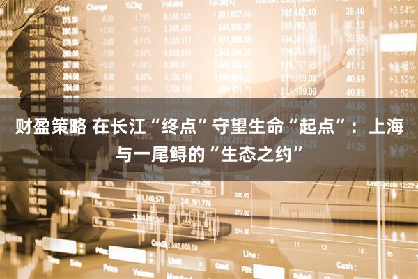 财盈策略 在长江“终点”守望生命“起点”：上海与一尾鲟的“生态之约”
