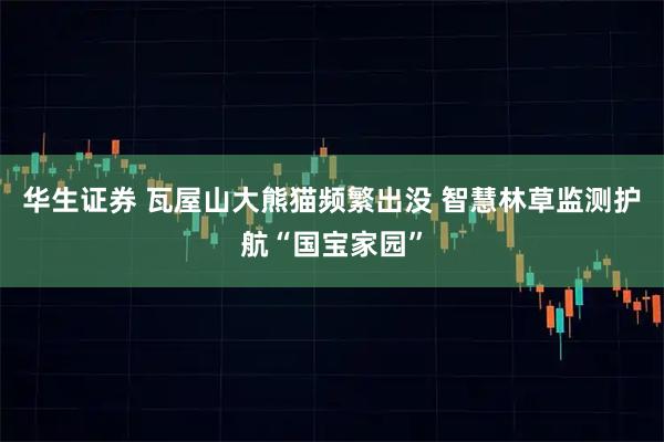 华生证券 瓦屋山大熊猫频繁出没 智慧林草监测护航“国宝家园”