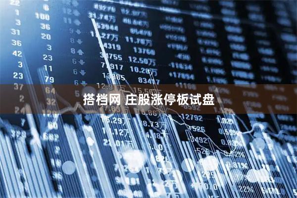 搭档网 庄股涨停板试盘