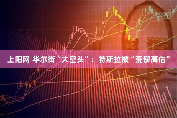 上阳网 华尔街“大空头”：特斯拉被“荒谬高估”
