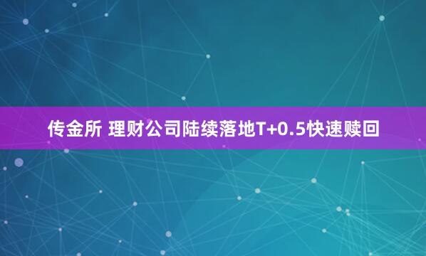 传金所 理财公司陆续落地T+0.5快速赎回
